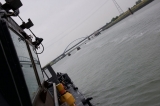 holland-22