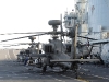 cougar-13-heli-3