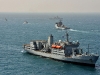 cougar13-02