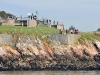 hms-bulwark-home1