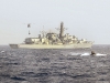 rn01