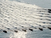 olympic-games-2012-2