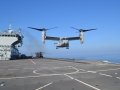 Osprey-03