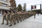 Poppy-Appeal-01