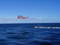 sar-01