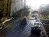 seal-3