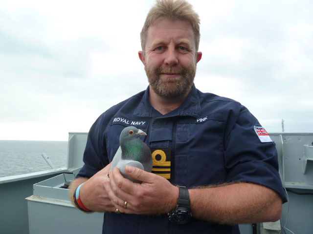 Lt Cdr Simon Pink and lost pigeon