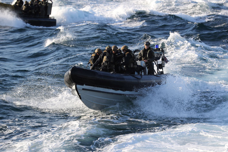 Royal Marines swoop on passenger ferry