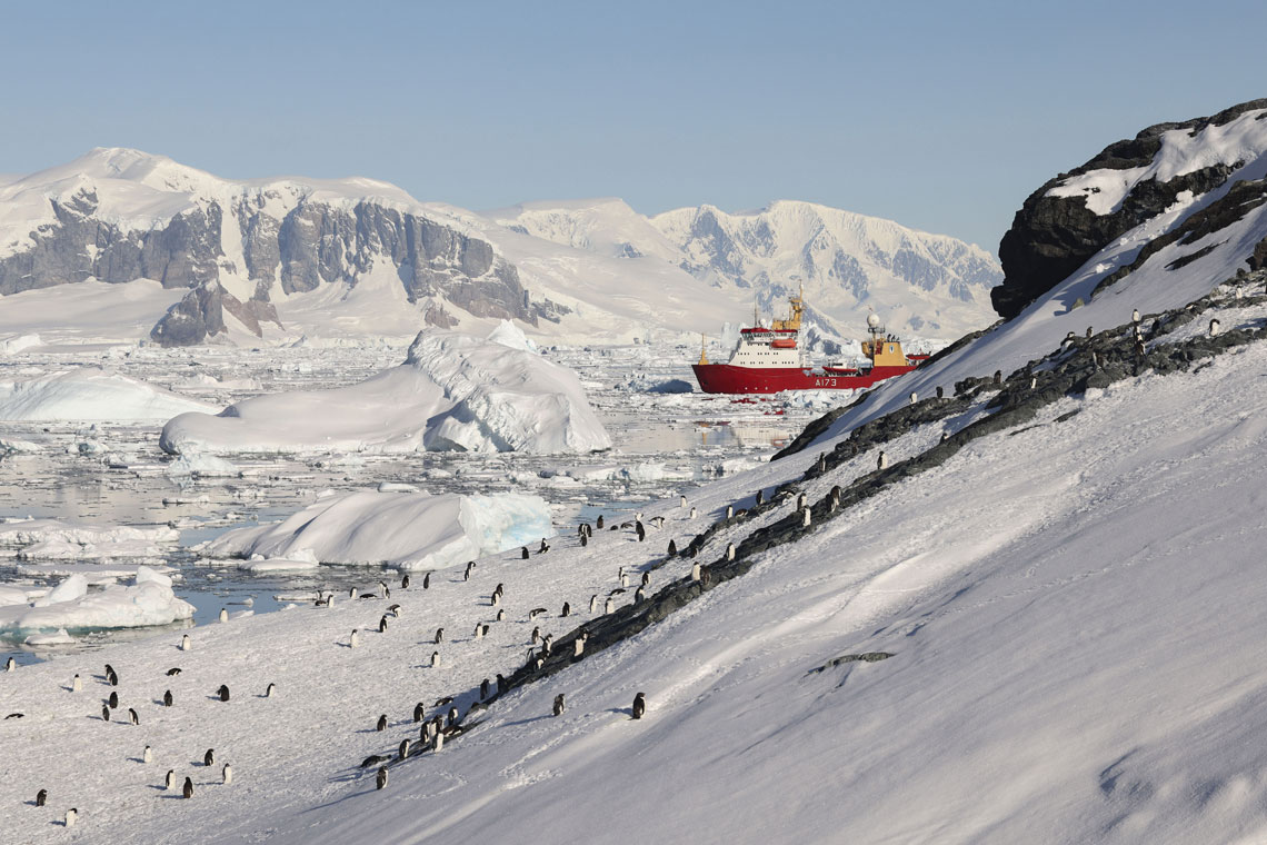 HMS Protector negotiates the ice floes around Detaille Island